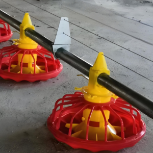 automatic floor feeding line for broiler poultry farm
