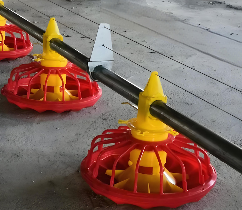 automatic floor feeding line for broiler poultry farm