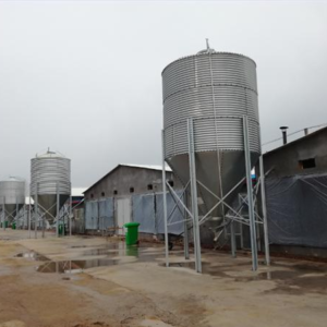 galvanized poultry feed silo tower for farm