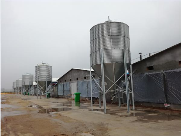galvanized poultry feed silo tower for farm