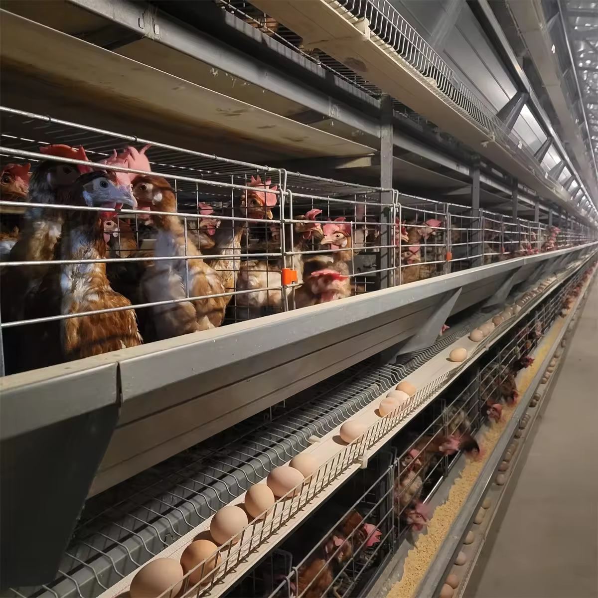 vertical stacked layer chicken cage for poultry farm