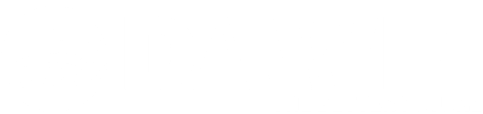 logo website